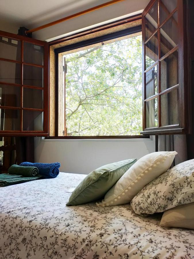 Villa Les Chariotins Draguignan Eksteriør billede